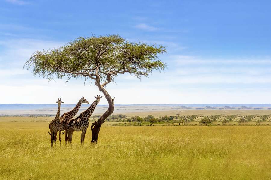 Südafrika die Große Südafrikareise 